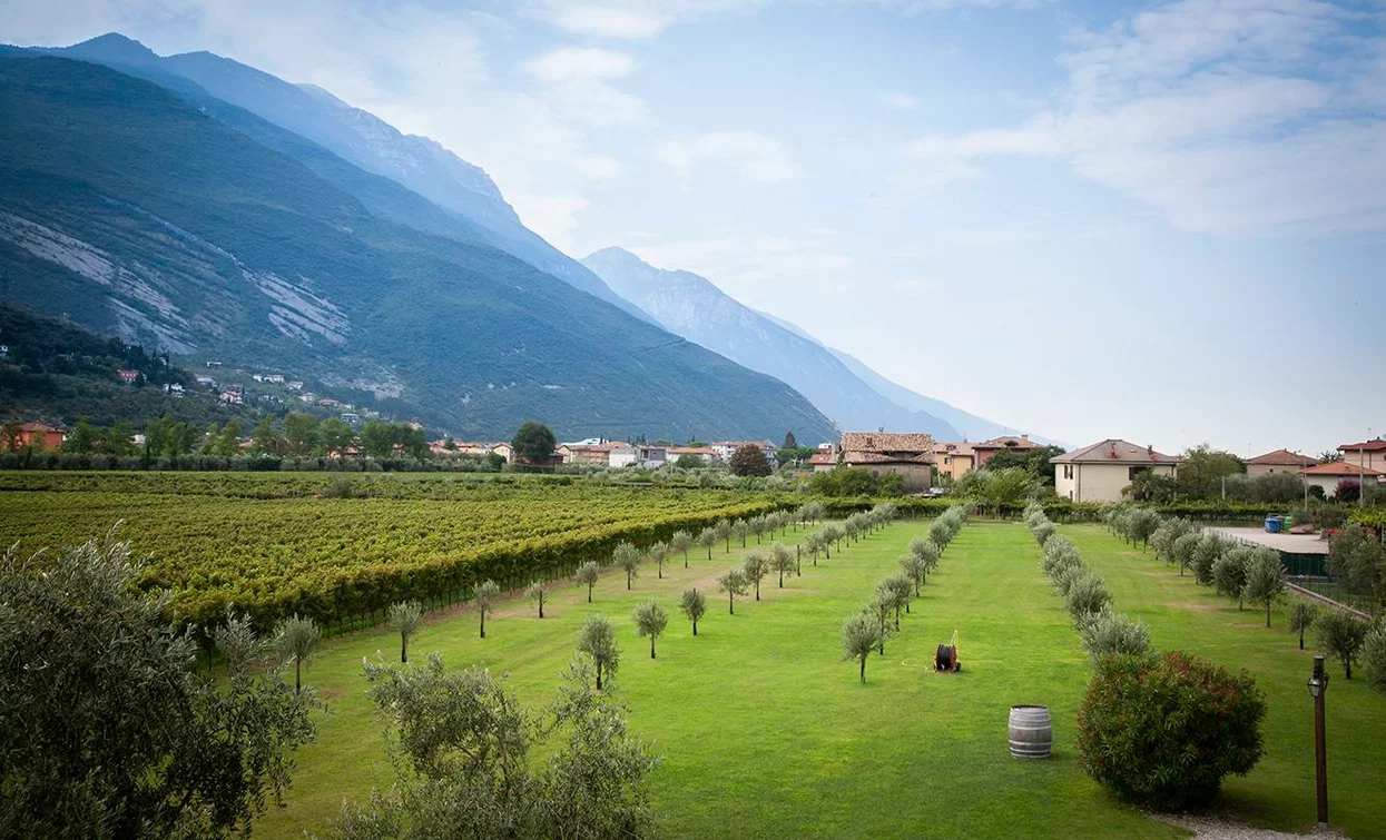 Trentodoc sull’erba - Madonna delle Vittorie 03